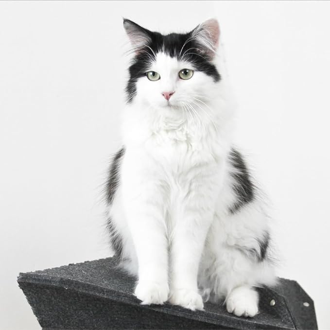 MIUT Large Climber Cat Furniture, Wall Mounted Cat Shelves, Mental Stimulation for Indoor Cats, Durable and Adjustable, Water and Stain Resistant, Suitable for Cats to Climb and Play