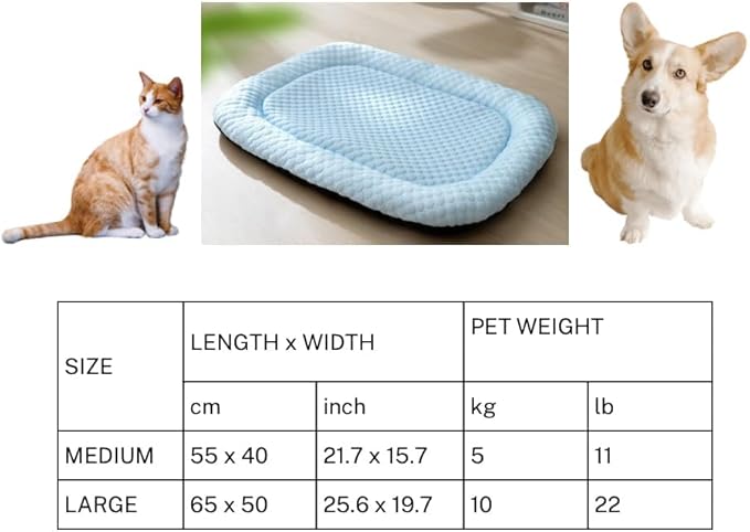 Pet Cooling Mat for Cats and Small Dogs, Self Cooling Fabric, Lightweight, Soft and Comfortable, Leak-Proof, Non Gel, Washable, Cozy Sleeping mat, Indoor/Outdoor (Light Green, Large)