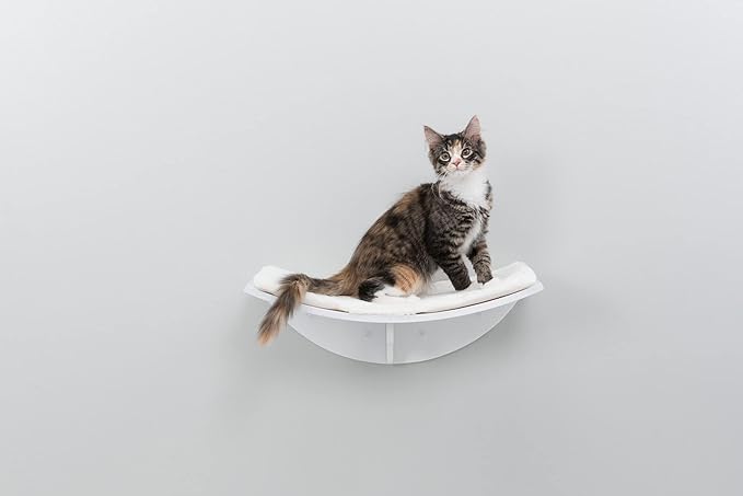 TRIXIE Lea Wall Mount Perch XL, Cat Shelf, Cat Bed, Cat Lounger, Cat Furniture, White, 11" x 19", (44579)