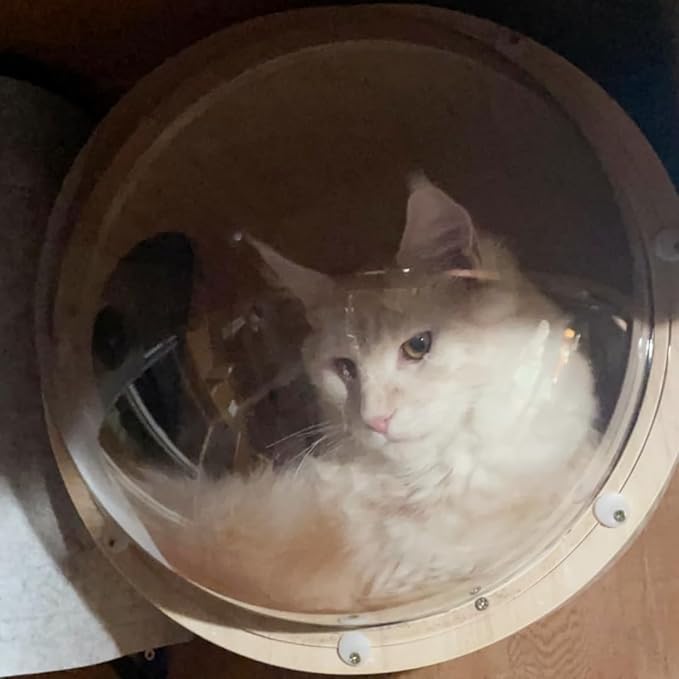 Wall-Mounted Cat Bed Furniture Round Space Capsule Acrylic Cat Perch Steps Cat Wooden Shelf Cat Lover Gift Cat Tree Tower-Classic Style-1