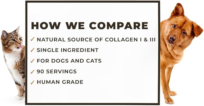 8oz Beef Bone Broth Powder for Dogs and Cats – Human Grade Grass-Fed Bone Broth for Picky Eaters – Supports Joints and Gut Health – Single Ingredient Bone Broth for Cats -Dog Food Toppers For Dry Food
