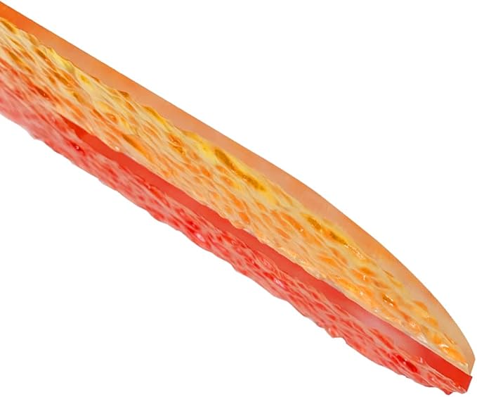 Oval Colorful Acrylic Insert Board - Replaceable Acrylic Board for Decorating Cat Wall Shelves, Only Applicable to The Use of This Link Product