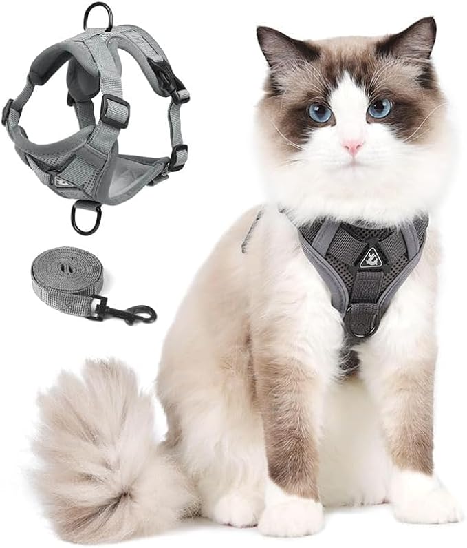 Cat Harness and Leash Set, Upgraded Escape Proof Adjustable Vest with Lead for Large Cat Small Dog Puppy Outdoor Walking, Soft Breathable Mesh Jacket with Reflective Strips for Dark Night, L Gray