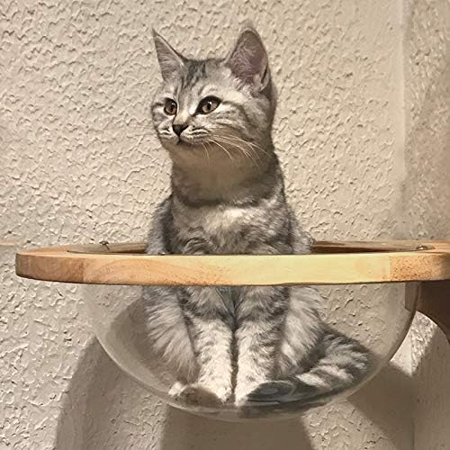 Wall-Mounted Wooden Space Clear Capsule Cat Bed Small Pets Bed Toy Furniture(Large Capsule)