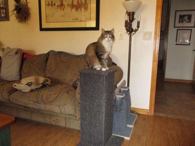 Klever Kitty Cat Scratching Post and Couch Protector - Durable Furniture Protector from Cat Claws, Protects Sofa Corners, Prevents Ruining Your Couch, Soft Fabric Designed to Promote Nail Health