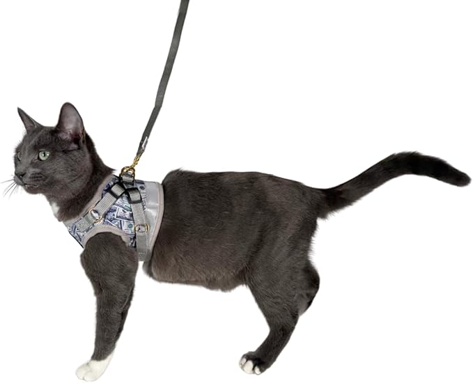 Travel Cat Harness and Leash Set - Adjustable Fit Mesh Cat Harness and Reflective Strap - Comfort Escape Proof Harness for Cats, Kitten for Outdoor Walking, Hiking (Small, Cash)