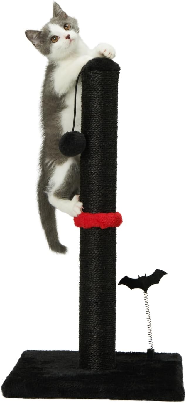 MECOOL Cat Scratching Post Premium Sisal Scratch Posts with Hanging Ball Vertical Scratcher for Indoor Cats and Kittens (Black, 22 inches for Kitten)