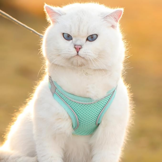 Cat Harness and Leash Set Soft Adjustable Escape Proof Cat Leash Breathable Comfortable Vest Easy to Wear Kitten/Small Dogs Harness for Outdoor Walking Green XS