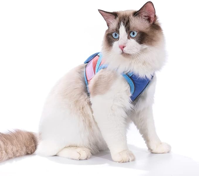 TOTORO Cat Harness and Leash for Walking Escape Proof ，Adjustable Comfortable Suedette Vest Harnesses for Cats，Reflective Strips Easy to Put on Step-in Velcro Jacket (L, Blue)