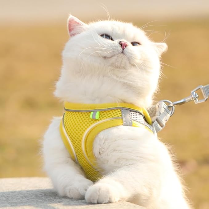 Cat Harness and Leash Set Soft Adjustable Escape Proof Cat Leash Breathable Comfortable Vest Easy to Wear Kitten/Small Dogs Harness for Outdoor Walking Yellow XXS
