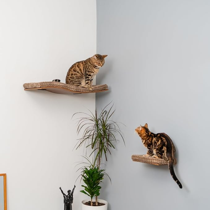 Kitsune Garden Cat Step, Cat Wall Furniture, Wall Mounted Shelf, Cat Wall Shelf, Cat Shelves, Cat Bed, Cat Shelf, Cat Steps for Wall, Brown (Step)