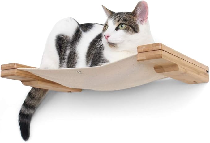 CatastrophiCreations Cat Lounge Hammock Wall Mounted Lounger for Climb and Play Furniture Cat Tree Shelves
