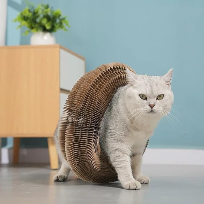 Kitty Toy, Magic Cat Scratching Board, Interactive Scratch Pad with a Ball, Cat Scratcher for Grinding Claw, Recyclable and Durable, Furniture Protector, Retractable, Brown, Reversible