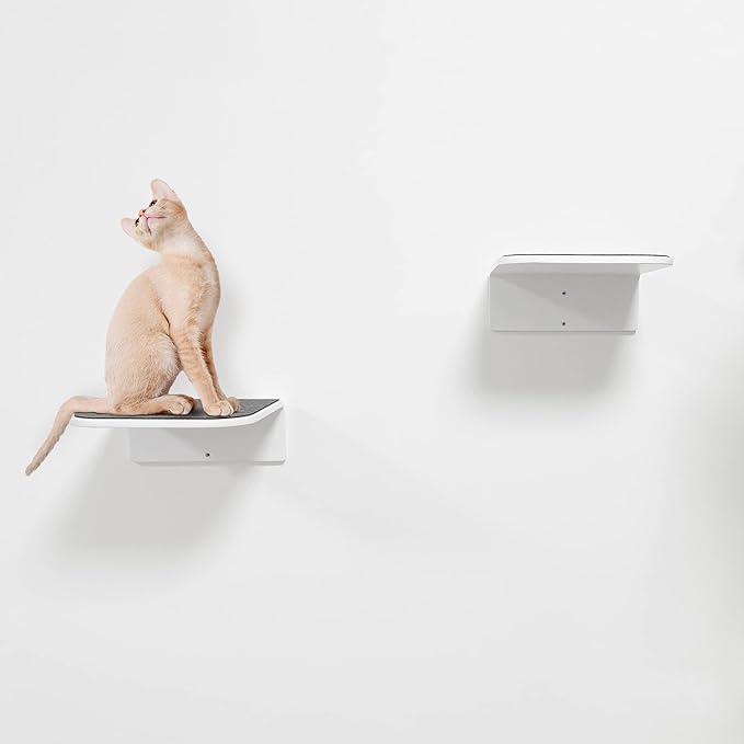 Cat Steps Wall Mounted Floating Cat Shelf Furniture Climbing Wall for Cat Perching Sleeping Lounging with 2 Steps (Steps)