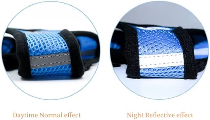 Step-in Dog, Cat, and Puppy Harness and Leash | All Weather Mesh | Reflective Harness & Leash for Small Dogs and Cats (Blue, Small)