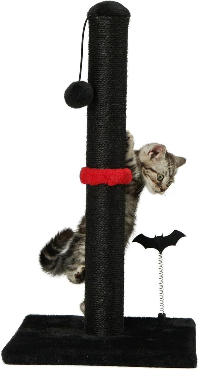 MECOOL Cat Scratching Post Premium Sisal Scratch Posts with Hanging Ball Vertical Scratcher for Indoor Cats and Kittens (Black, 22 inches for Kitten)