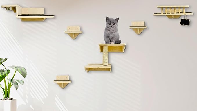 Luxury Cat Wall Furniture Set: Wall Mounted Cat Furniture with Scratching Post, Feeder, Resting Perch, and Climbing Shelves for Ultimate Indoor Cat Adventure