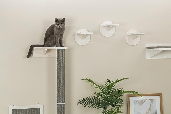 TRIXIE Wall Set 1, Indoor Wall Mounted Cat Scratching Post for Elevated Fun, Climb to Perch, Jumping Platform, Gray