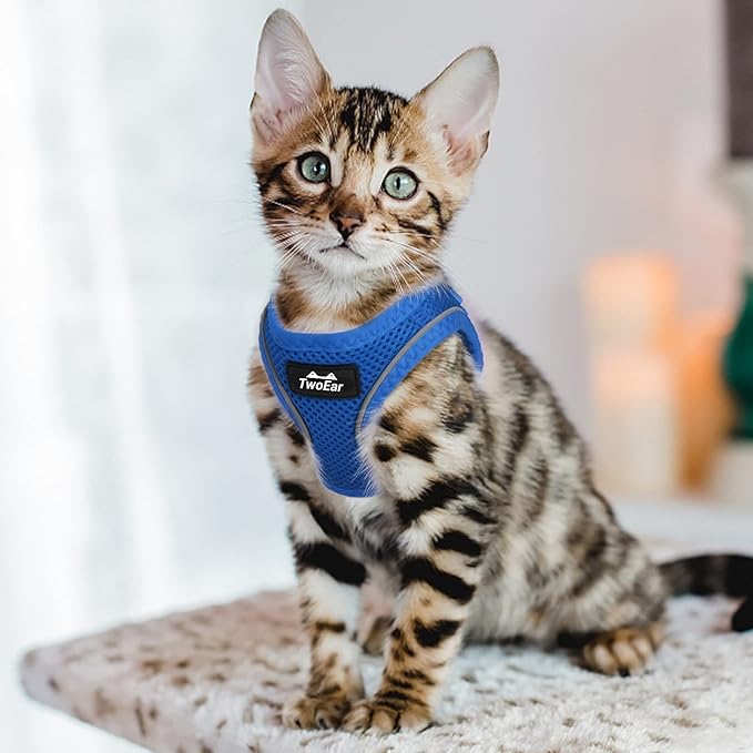 TwoEar Cat Harness Escape Proof, Soft Dog Vest Harness Adjustable, Breathable Mesh Step-in Puppy Walking Jacket Reflective Easy Control for Extral Small Pets for Outdoor Walking(XXXS, Blue)