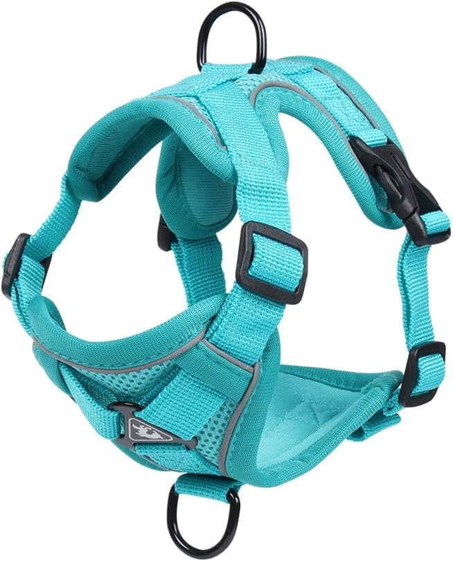 Cat Harness and Leash Set, Upgraded Escape Proof Adjustable Vest with Lead for Kitten Puppy Outdoor Walking, Soft Breathable Mesh Jacket with Reflective Strips for Dark Night (M, Emerald Green)