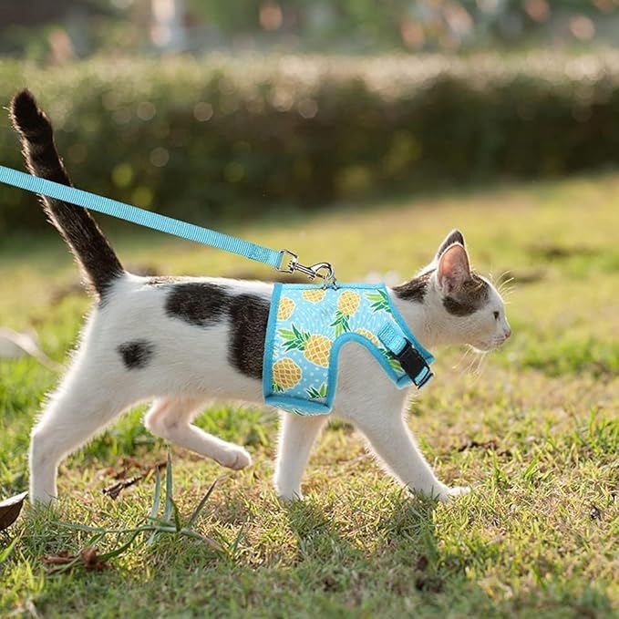 BINGPET Cat Harness - with Leash Included - Mesh Cat Dog Walking Harness Adjustable Harness for Kitties Puppy Harness Adjustable Cat Vest Harness Pineapple