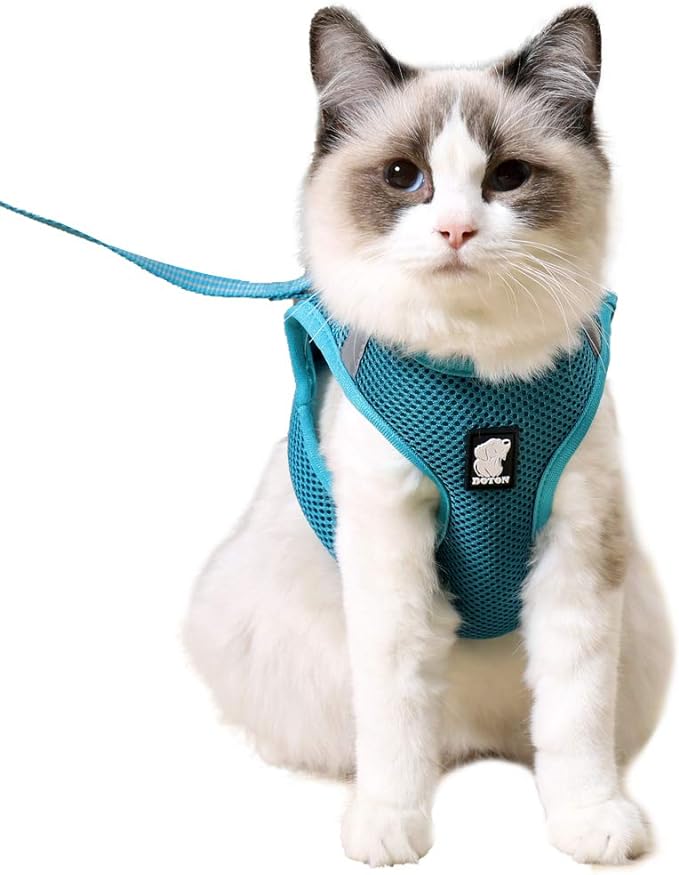 Heywean Cat Harness and Leash - Ultra Light Escape Proof Kitten Collar Cat Walking Jacket with Running Cushioning Soft and Comfortable Suitable for Puppies Rabbits (M, Turquoise)