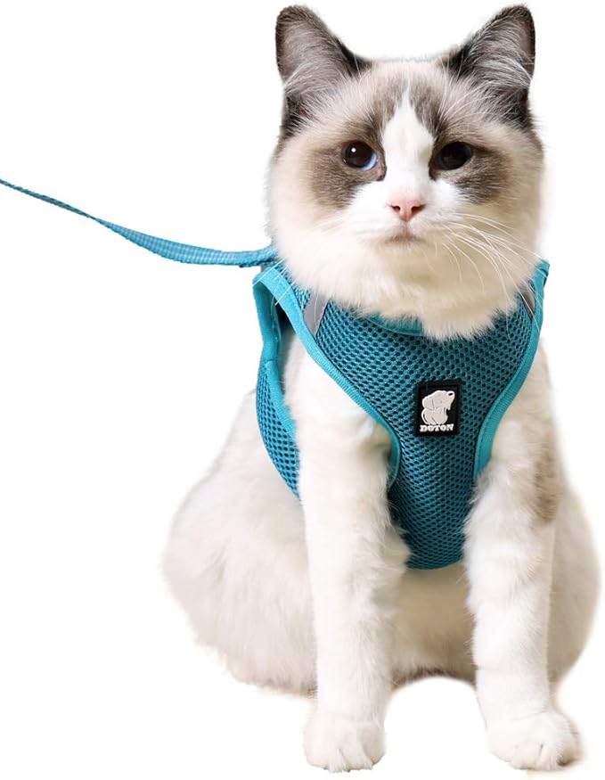 HEYWEAN Cat Harness and Leash - Ultra Light Escape Proof Kitten Collar Cat Walking Jacket with Running Cushioning Soft and Comfortable Suitable for Puppies Rabbits