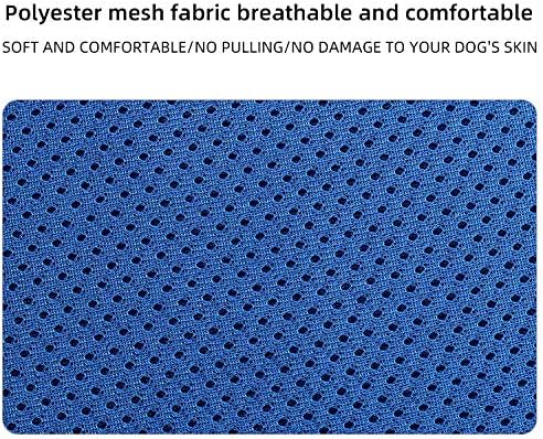 Comfort Step-in Cat Dog Harness and Leash Set for Puppies Cats Kitty Escape Proof Pet Vest Harnesses for Small Animals Rabbit/Mouse/Cats (M:3-4.5KG, Blue)