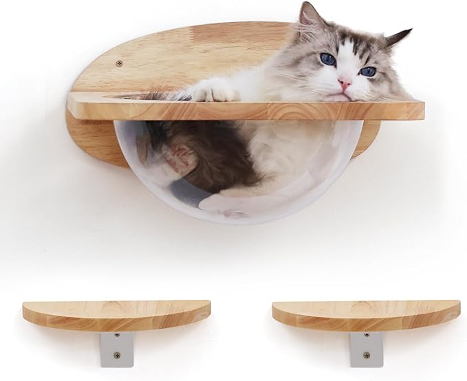 FUKUMARU Cat Wall Furniture Set, Transparent Capsule Cat Wall Shelves with 2 PCS Pedals - Premium Kitty Bed for Sleeping, Playing, Climbing, and Lounging - Easily Holds Up to 35 Lbs