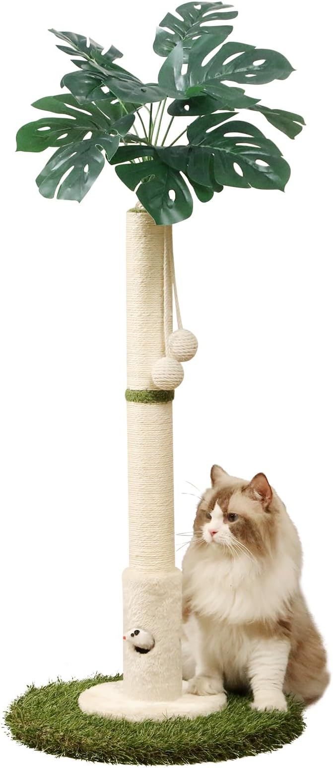 Cat Scratching Posts Cat Trees 35.43" Tall with Sisal Rope Cat Toy and Hanging Ball for Indoor,Wooden Palm Tree Cat Scratch Pole for All Cat（White