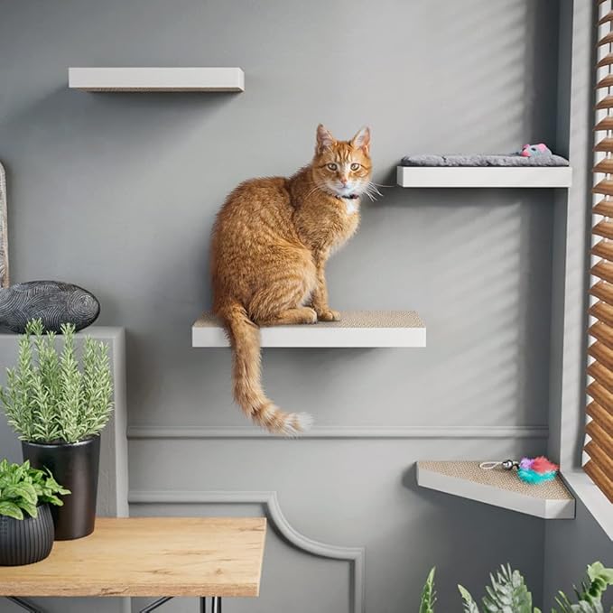 Way Basics Premium Cat Scratcher Floating Wall Shelf (4 Pack) (White)