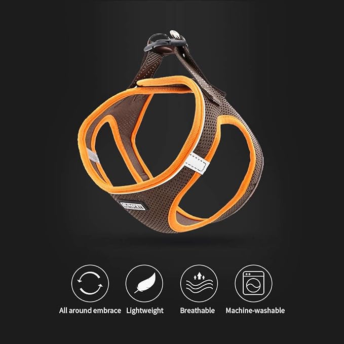 Soft Mesh Dog Harness and Leash Set, Step-in Reflective Breathable Comfort Padded Quick Dry Pet Puppy Vest Harness for Extra-Small/Small Medium Dogs and Cats (Brown, XXS)