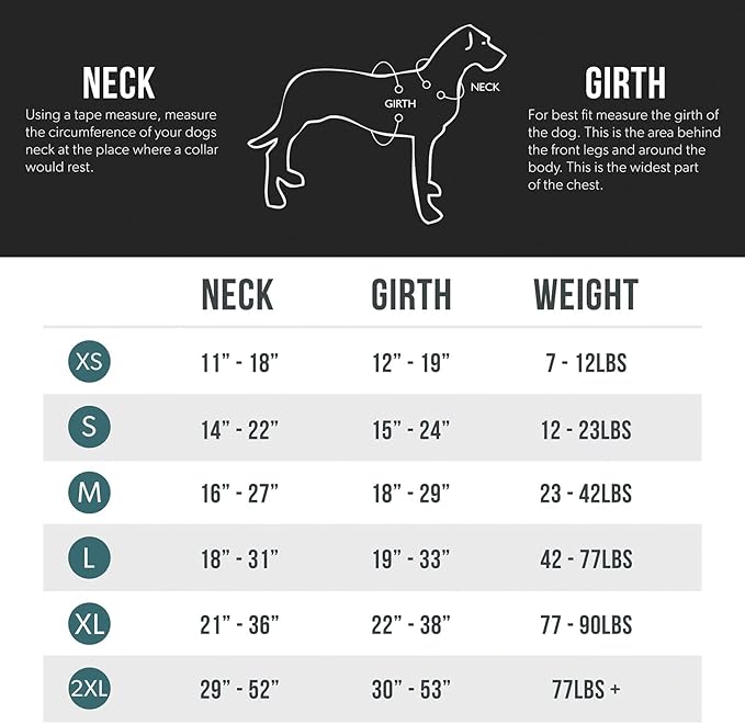 EzyDog Premium Chest Plate Custom Fit Reflective No-Pull Padded Comfort Dog Harness - Perfect for Training, Walking, and Control - Includes Car Restraint Attachment (Large, Gray)