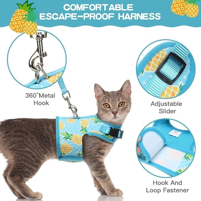 BINGPET Cat Harness with Leash Escape Proof - Fashionable Mesh Cat Dog Walking Harness Leads, Adjustable for Kitties Puppies Small Animals