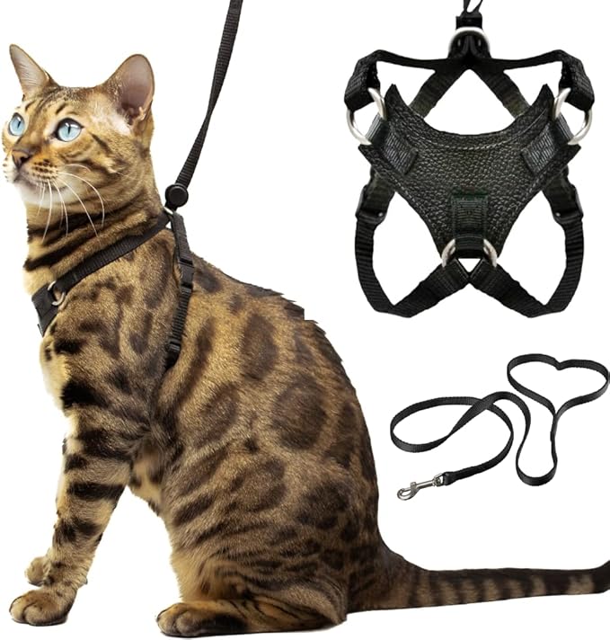 Houdini™ Escape Proof Cat Harness and Leash Set by OutdoorBengal for Walking Cats and Kittens (Vegan Leather, Kitten)