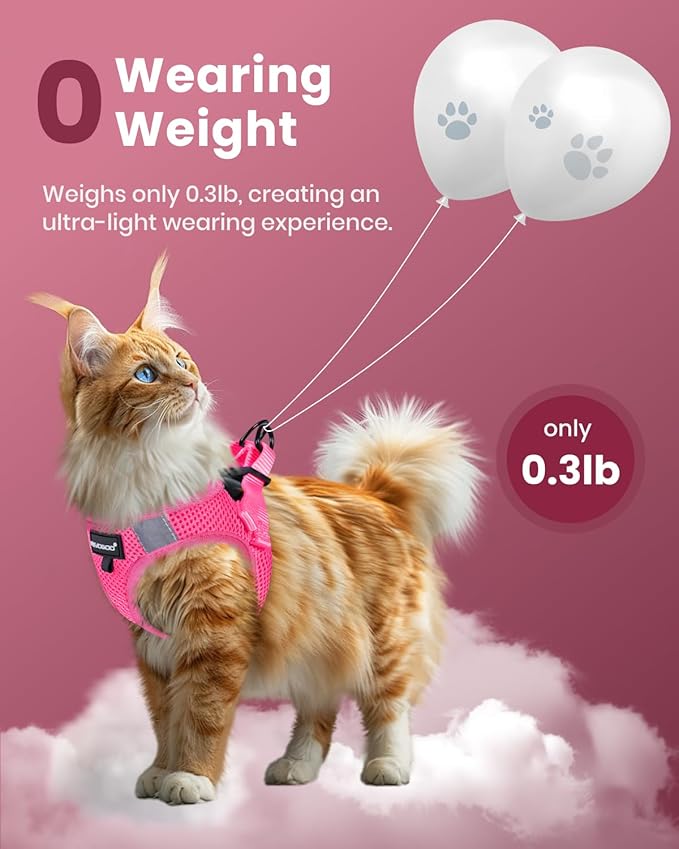 FAYOGOO Cat Harness and Leash Set for Walking Escape Proof, Kitten Harness and Leash Adjustable, Small Large Cat Walking Harness and Leash, Lightweight Soft Vest Harness and Leash(Medium, Pink)