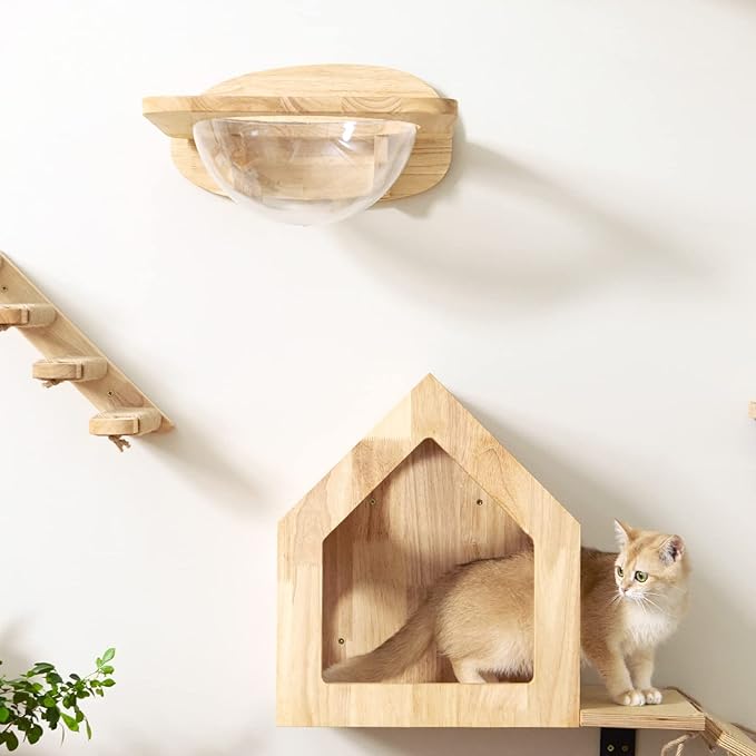 FUKUMARU Cat Wall Furniture Set, Transparent Capsule Cat Wall Shelves with 2 PCS Pedals - Premium Kitty Bed for Sleeping, Playing, Climbing, and Lounging - Easily Holds Up to 35 Lbs