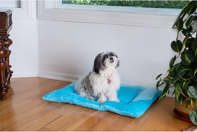 Armarkat Pet Bed Mat 27-Inch by 19-Inch by 2.5-Inch M01-Medium, Sky Blue (M01CTL-M)