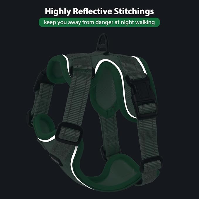 Rttochfy Cat Harness and Leash Set, Adjustable and Reflective Cat Vest, Escape Proof Kitten Harness, Easy to Put on with 3 Buckles for Cats Walking and Traveling (Green, S)