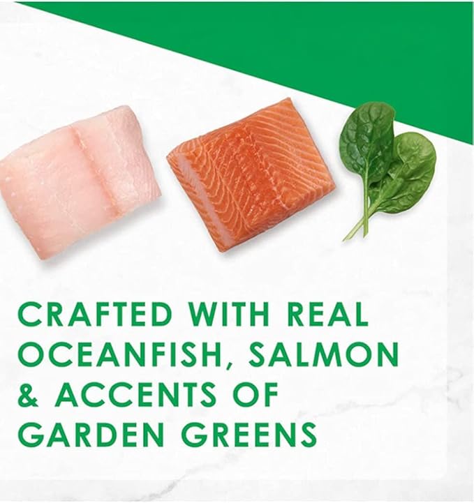 Aurora Pet Bundle Pack (4) FF Gourmet Dry Cat Food with Ocean Fish & Salmon (16 oz. Bags) Plus AuroraPet Wipes