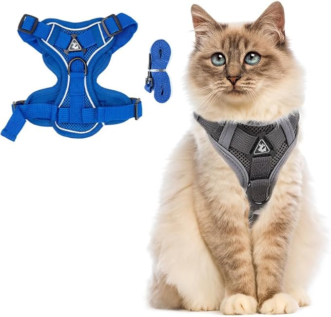 PetnBeyond Kitten Harness and Leash Set - Secure, Comfortable Control with Breathable Mesh Jacket - Adjustable Vest for Safe Walks with Reflective Strips - Kitty Escape Proof Kit (Small, Blue)