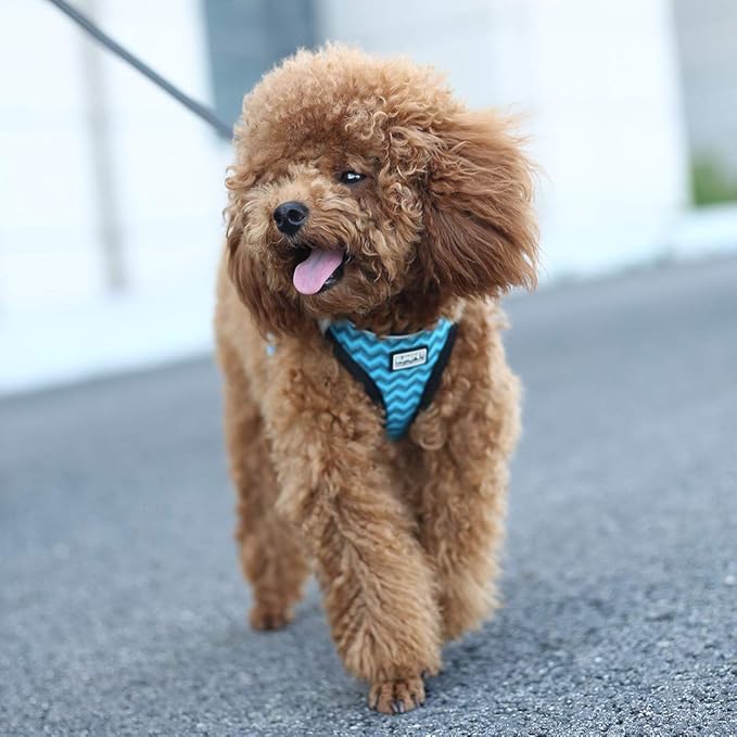 Soft Mesh Dog Harness and Leash Set, Step-in Reflective Breathable Comfort Padded Quick Dry Pet Puppy Vest Harness for Extra-Small/Small Medium Dogs and Cats (Blue, M)