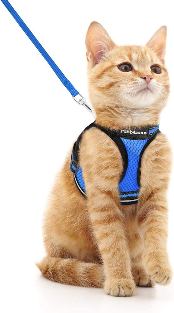 rabbitgoo Cat Harness and Leash Set for Walking Escape Proof, Adjustable Soft Kittens Vest with Reflective Strip for Cats, Comfortable Outdoor Vest, Blue, M