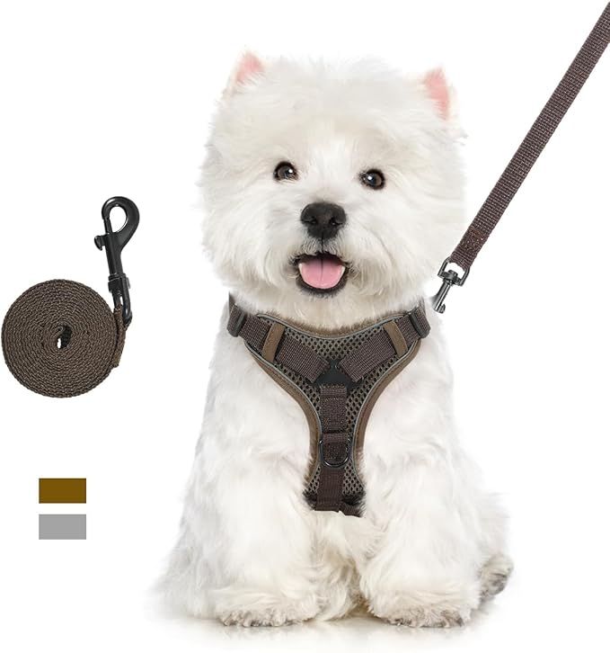 Cat Harness and Leash Set for Walking, Adjustable Kitten Vest Harness with Reflective Strip Breathable Mesh, Escape Proof Soft Pet Safety Vest for Cats, Kittens, Puppies, XL Coffee