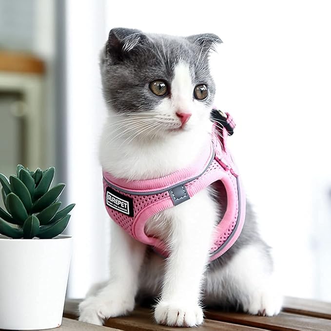 Soft Mesh Dog Harness and Leash Set, Step-in Reflective Breathable Comfort Padded Quick Dry Pet Puppy Vest Harness for Extra-Small/Small Medium Dogs and Cats (Pink, XS)