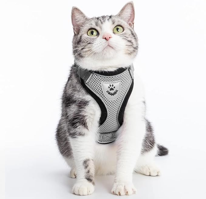 PUPTECK Cat Harness and Leash Set Escape Proof Reflective Cat Walking Harness Adjustable Soft Breathable Mesh Vest for Small Pets, Grey, S