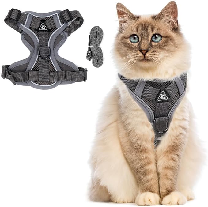 PetnBeyond Kitten Harness and Leash Set - Secure, Comfortable Control with Breathable Mesh Jacket - Adjustable Vest for Safe Walks with Reflective Strips - Kitty Escape Proof Kit (Small, Grey)