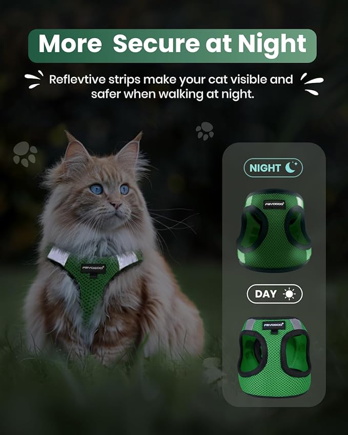 FAYOGOO Cat Harness, Cat Leash and Harness Set for Walking Escape Proof, Harness for Small Cats/Small Dogs, Large Kitten/Puppy Harness and Leash, Harness for Cats S-XXL(Neon Green, Small)