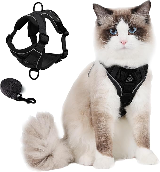 Cat Harness and Leash Set: Upgraded Escape Proof Vest with Lead for Large Cat Small Dog Puppy Walking, Soft Jacket Reflective Strips, Black (L)