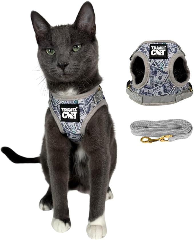 Travel Cat Harness and Leash Set - Adjustable Fit Mesh Cat Harness and Reflective Strap - Comfort Escape Proof Harness for Cats, Kitten for Outdoor Walking, Hiking (Small, Cash)